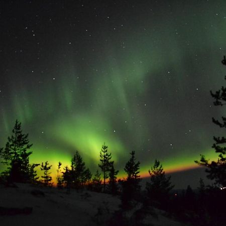 Lagomhuset - A Peaceful Holiday In Swedish Lapland Vidsel ภายนอก รูปภาพ
