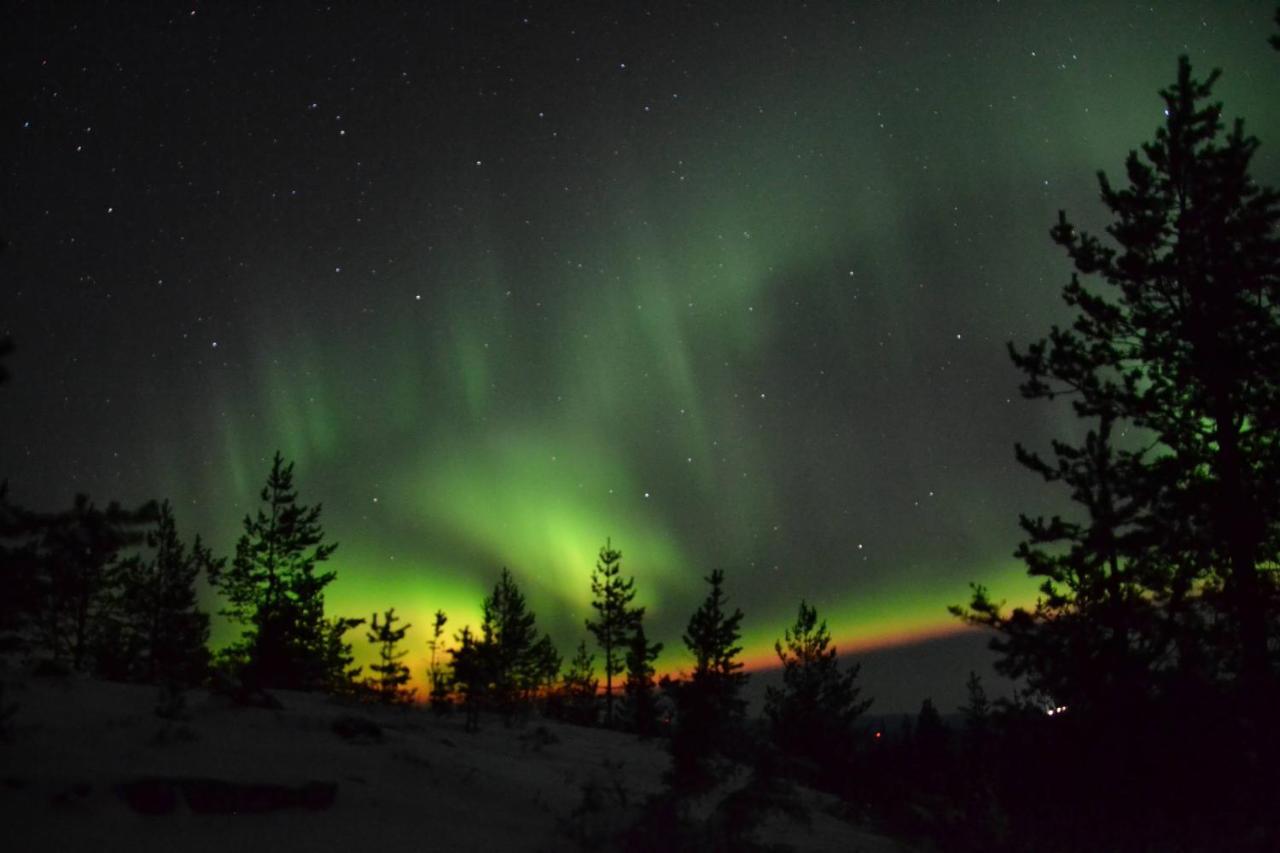 Lagomhuset - A Peaceful Holiday In Swedish Lapland Vidsel ภายนอก รูปภาพ