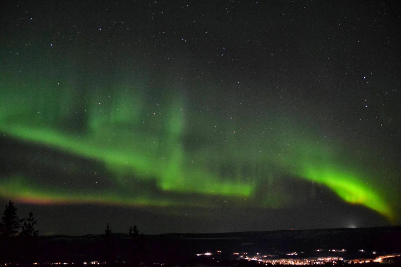 Lagomhuset - A Peaceful Holiday In Swedish Lapland Vidsel ภายนอก รูปภาพ